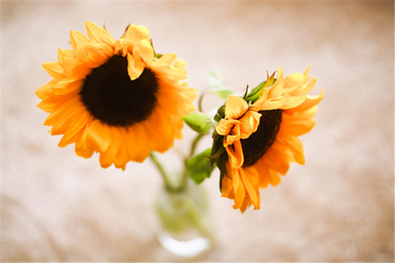 亲身经历才明白：半路夫妻的苦，旁人是很难体会的