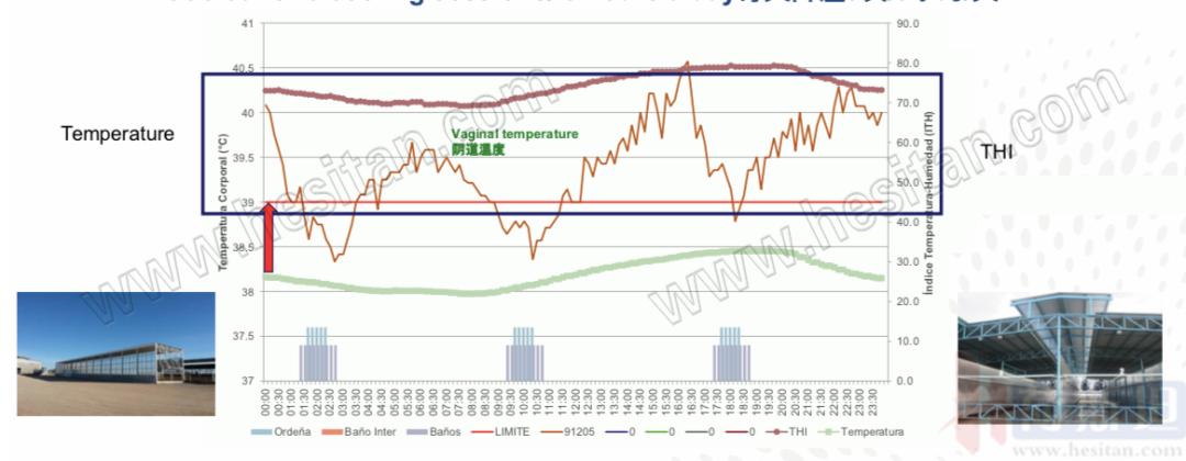 以色列实战经验：热应激管理4大关键点夏季疾病防控