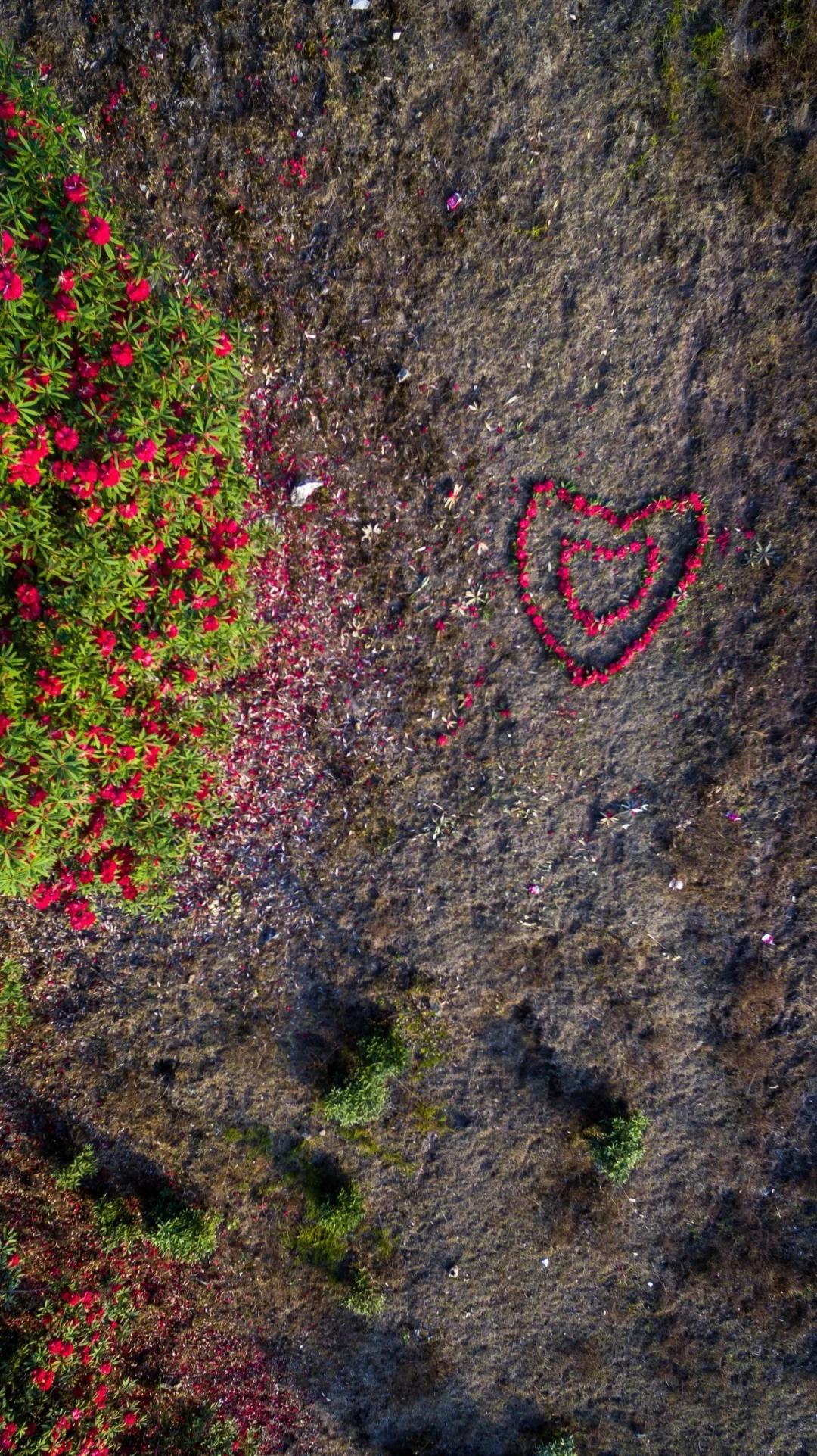 保山有魅力的地方,云南保山有多迷人
