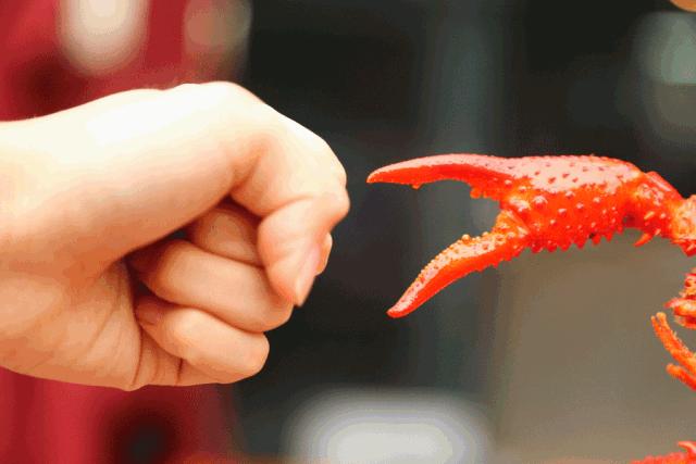 千人涌入二桥头狂欢！苦等365天，随州这个撸虾圣地一夜爆店！