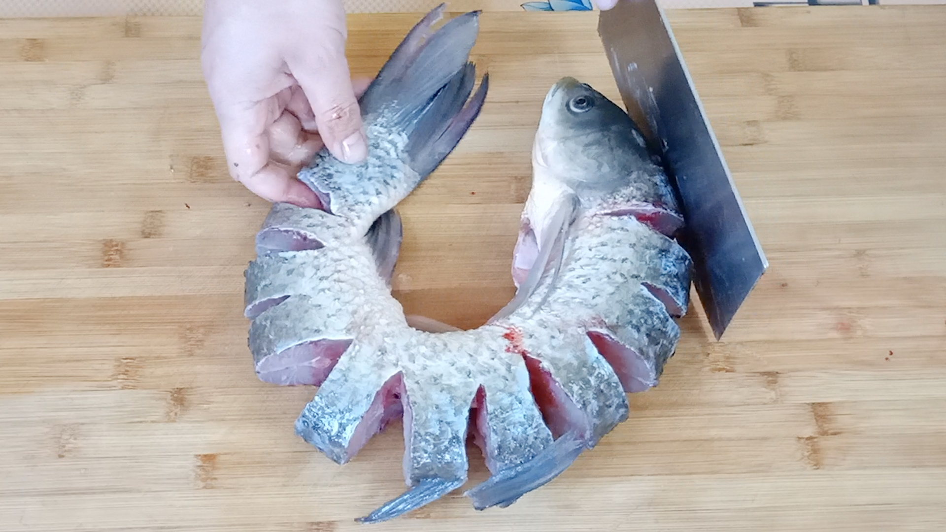 无论炖什么鱼一定要记住这几点,哪种鱼炖起来比较嫩又好吃