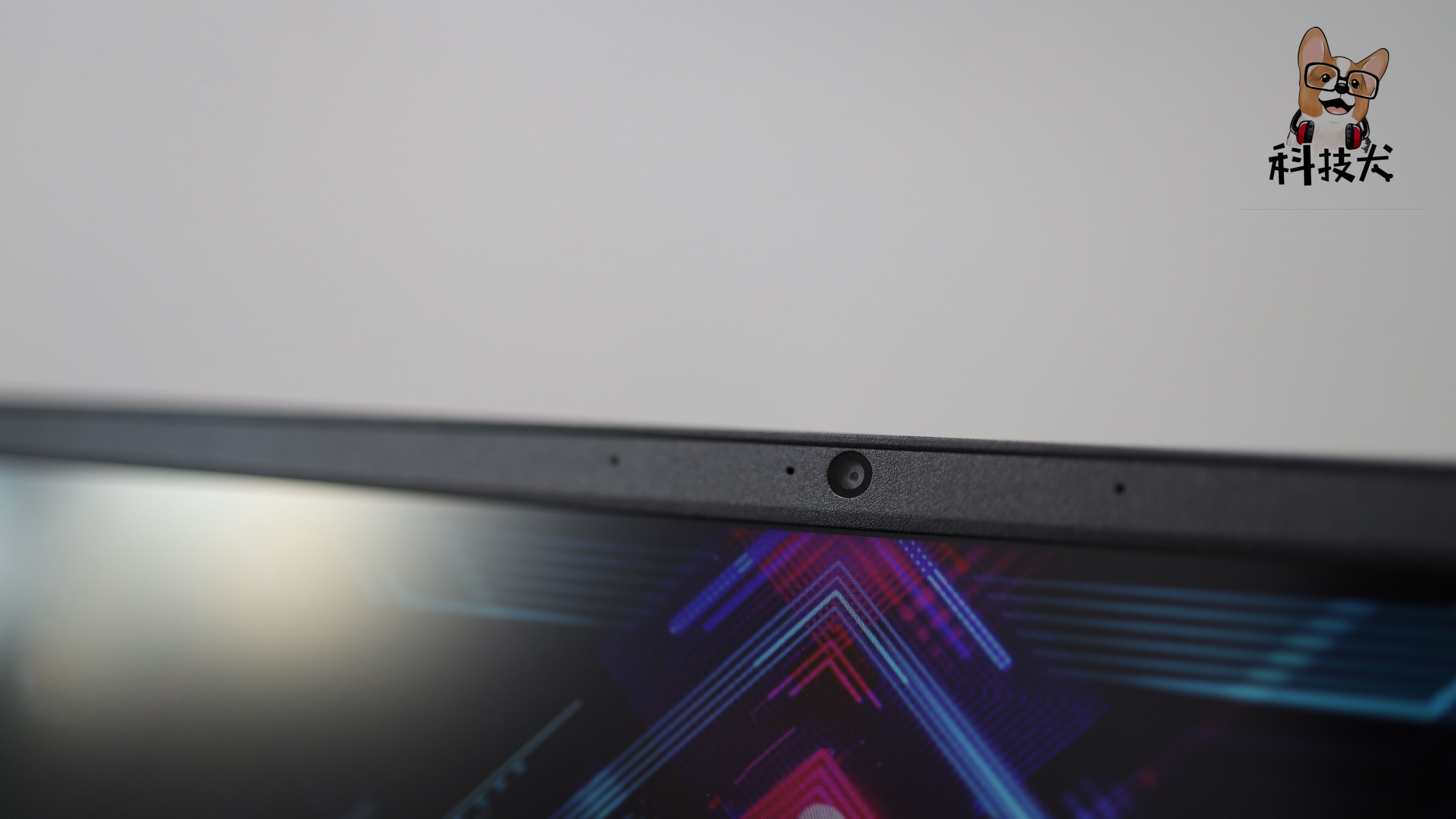 柯基狗幼犬多少钱一只,柯基犬最值得买的耳机