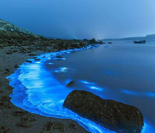 花鸟岛一周旅游攻略最新,趁着节日好好的出去玩