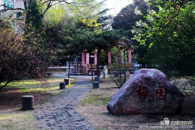 山西农大美丽的校园,山西农大校园风光