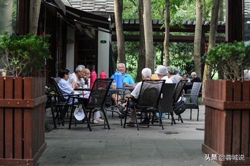 中国的贡茶是什么,最早关于茶的文献记载