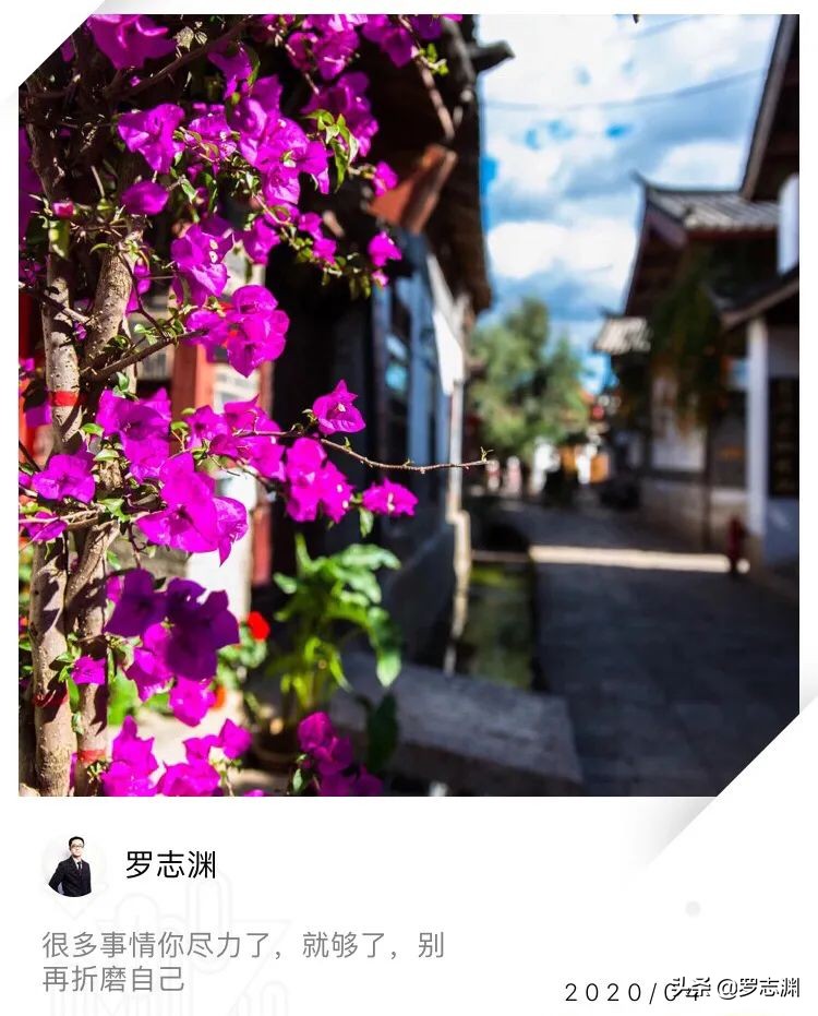 世间最好的感悟就是发现心在微笑,世间最好的感受就是发现心在微笑