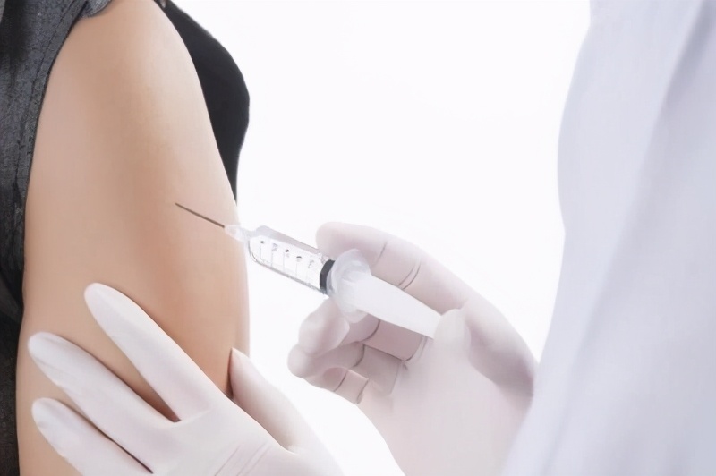 动物咬伤要及时就医,有关动物咬伤的急救知识