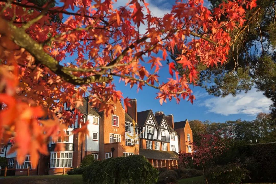 萨里郡大学,萨里郡有什么大学