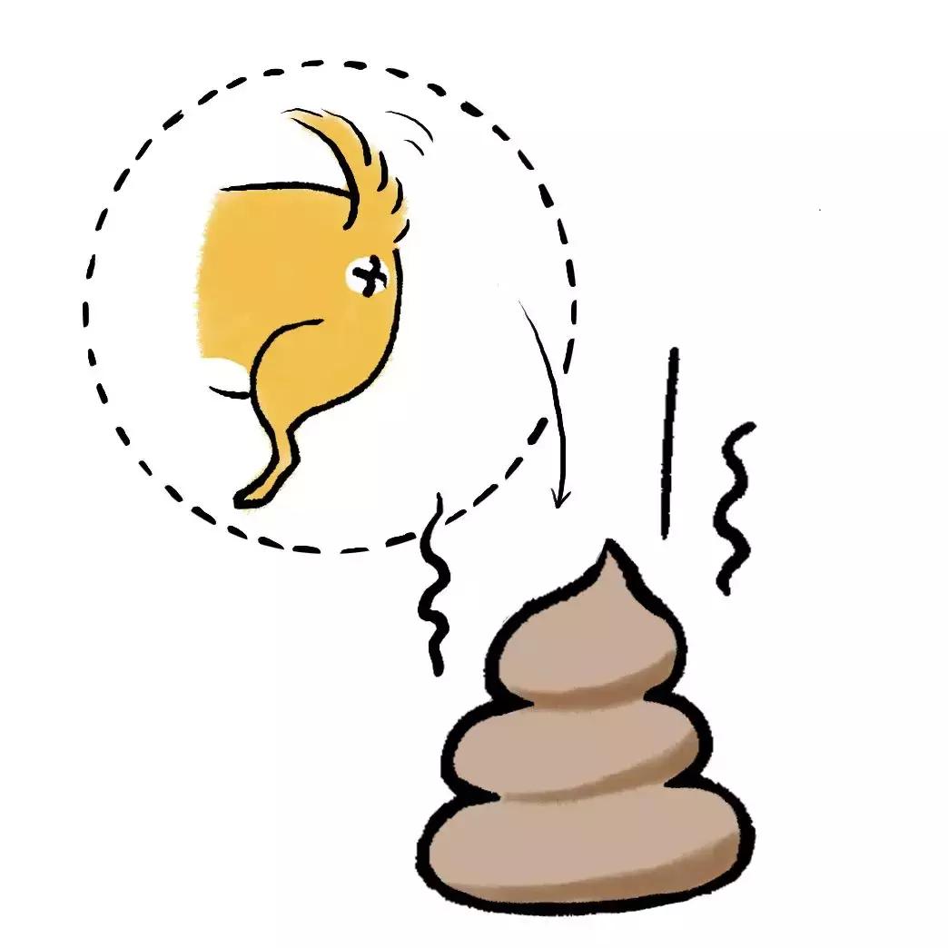 垃圾分类难点有效做法,垃圾分类知识分享