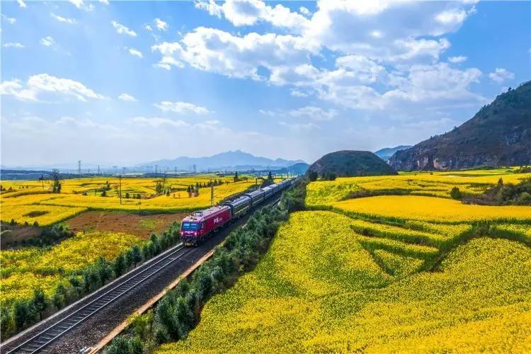 开往春天的火车哈尔滨至昆明,开往春天的列车绘画