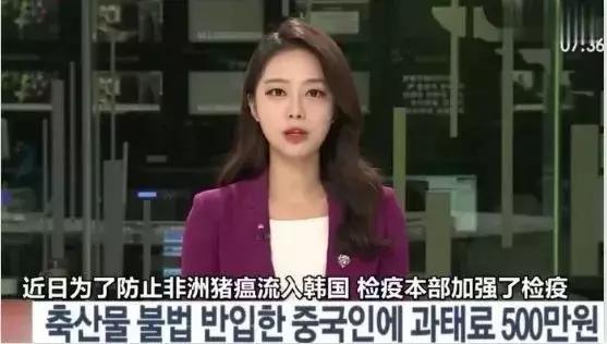 彭于晏带违规水果过海关被罚,彭于晏和荷兰弟