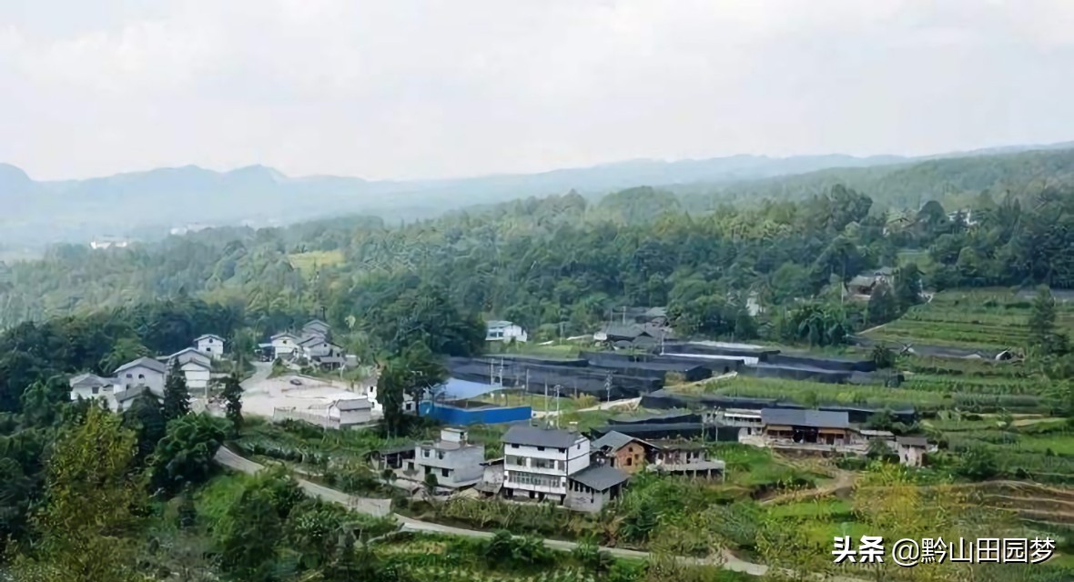 生态产业兴农富民,生态富民的发展思路