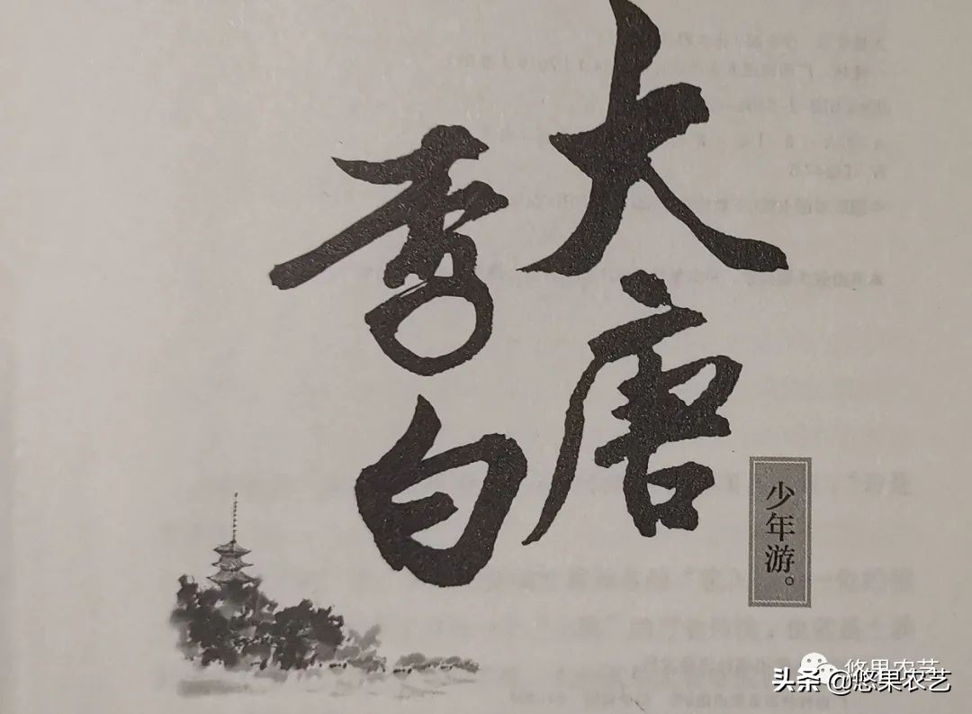 悠果读书(四十二)大唐李白-少年游