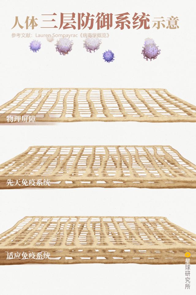 鍋囧鐥呮瘨鎰熸煋浜嗘垜,鍋囧鐥呮瘨鎰熸煋浜嗕綘