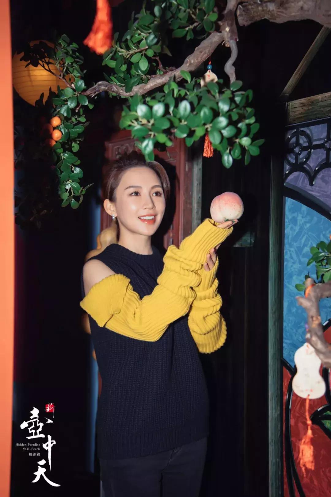 九球天后潘晓婷个人简历,潘晓婷九球天后的传奇之路