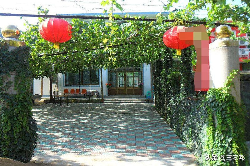 十年前农家乐倒闭了吗,风靡全国的农家乐为何倒闭