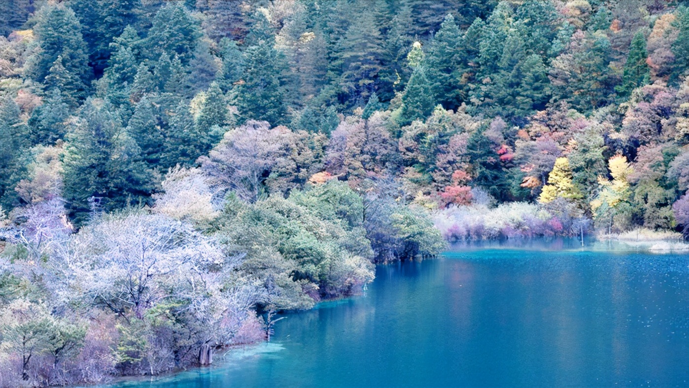 7到8万养老金,四川个人养老金94000退休能领多少