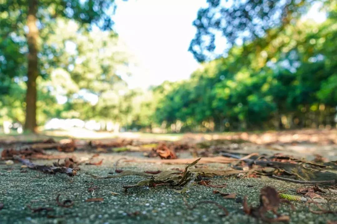 三亚学院21年新生报到,三亚学院新生入学教育