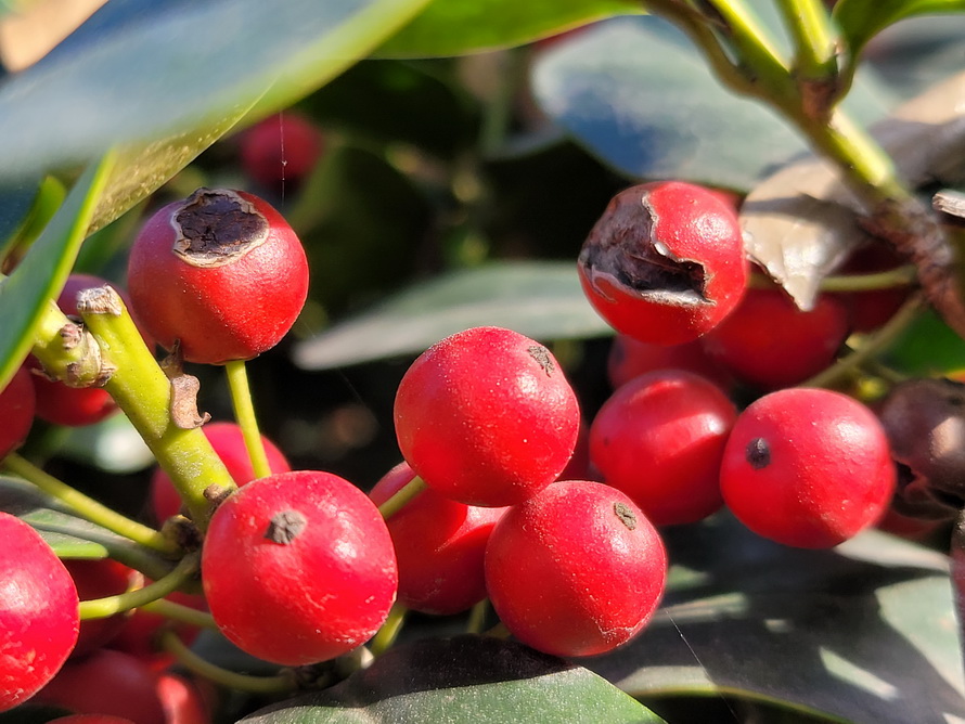 三星W215G评测：双卡双待双屏幕一切为商务而生