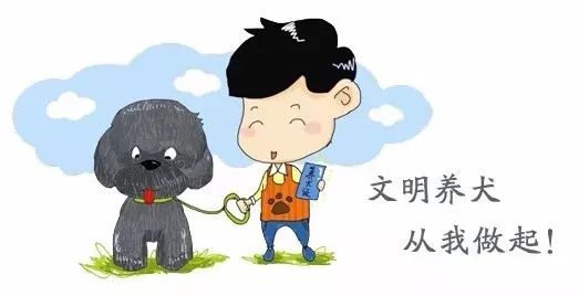 徐州市养犬管理条例,养宠人有必要定期打狂犬疫苗吗