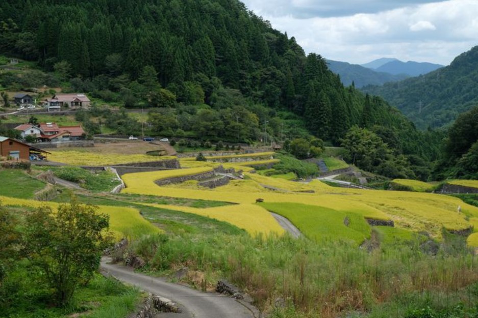 cnn评选出的日本最美的31个景点,cnn评选世界十大旅游地