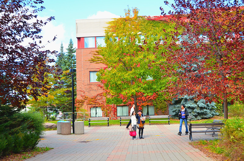 高中出国档案怎么保存,出国旅游要查档案吗