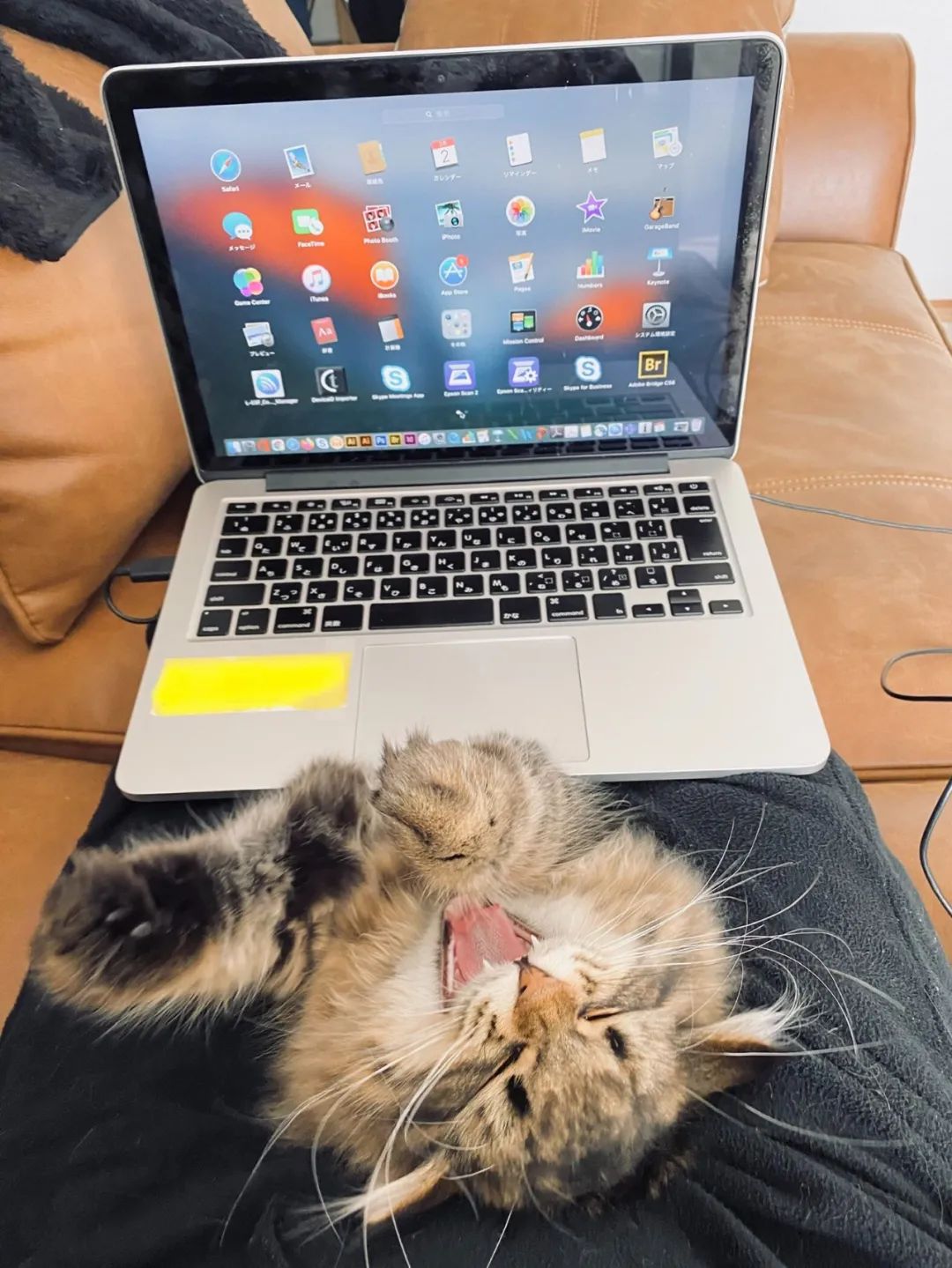 图集|这些厕所，我是不会上的