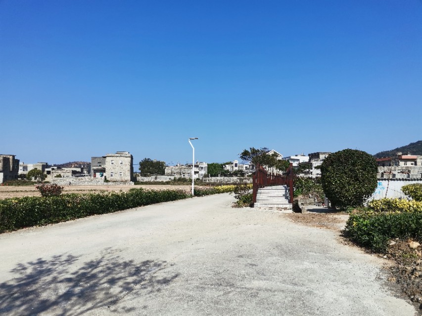 独自一人怎么生活,独自拼音