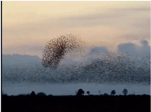 简单法则,复杂世界的简单法则