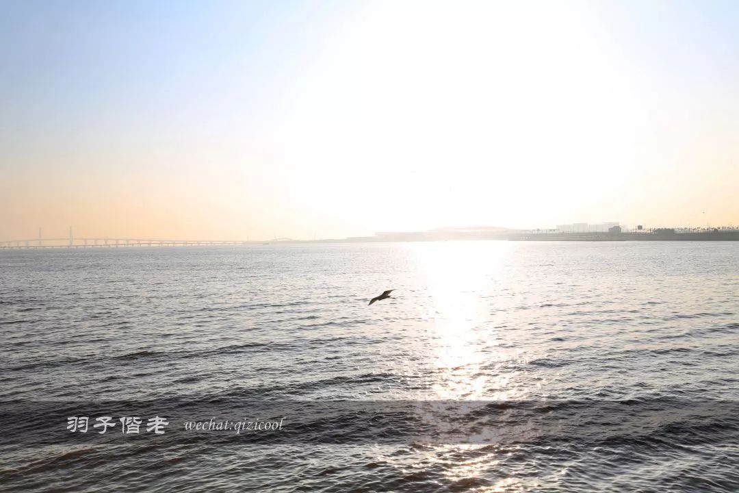 珠海洲际酒店,珠海地标
