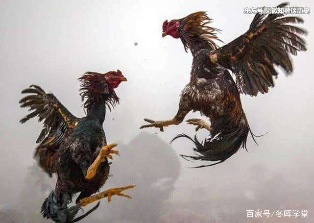 论语楚国,战国策与论语