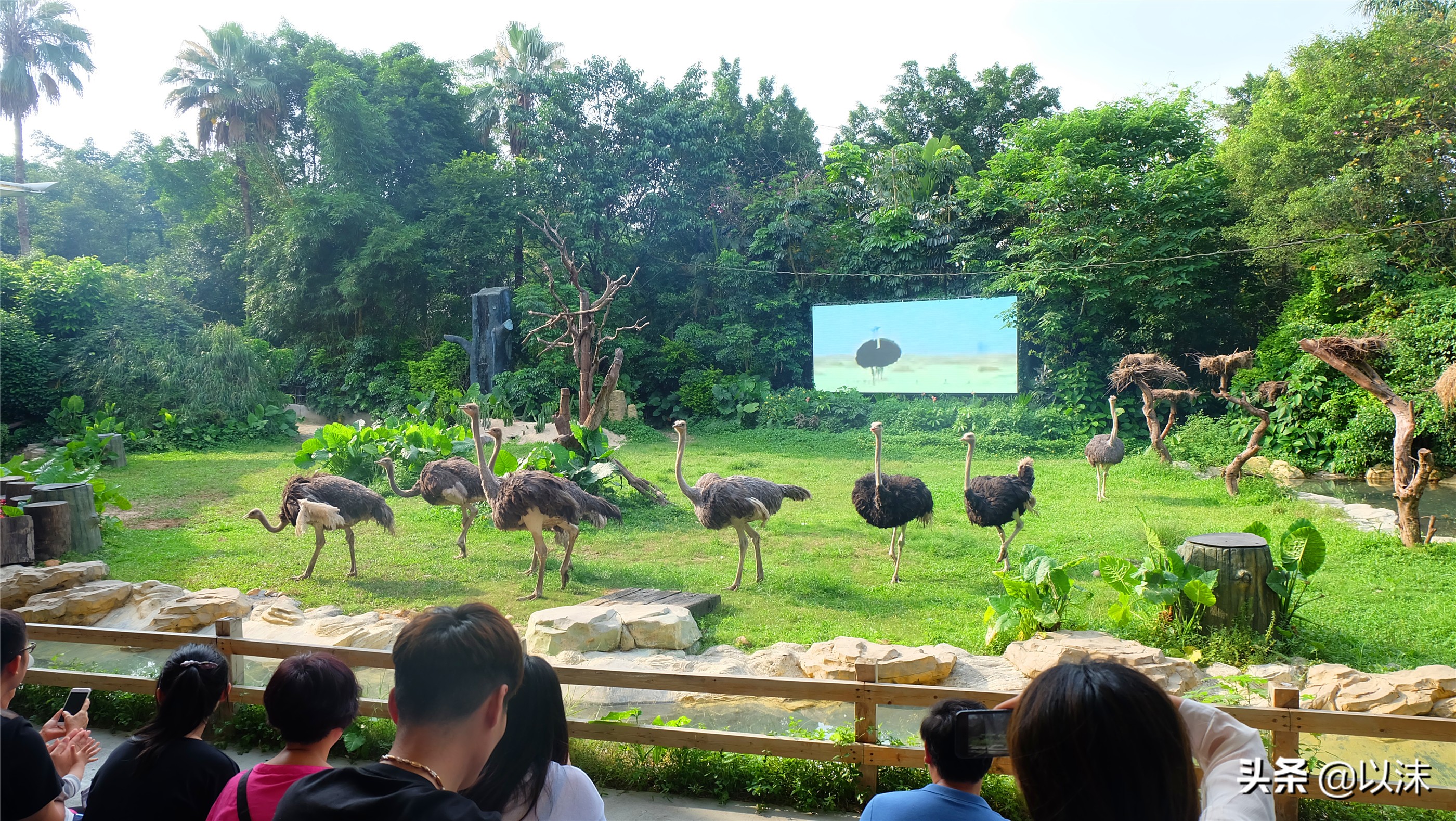 长隆野生动物世界游玩攻略,长隆野生动物世界带娃攻略