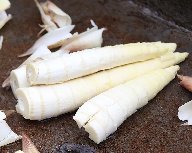 舌尖上的珍味春笋,舌尖上的春笋完整视频