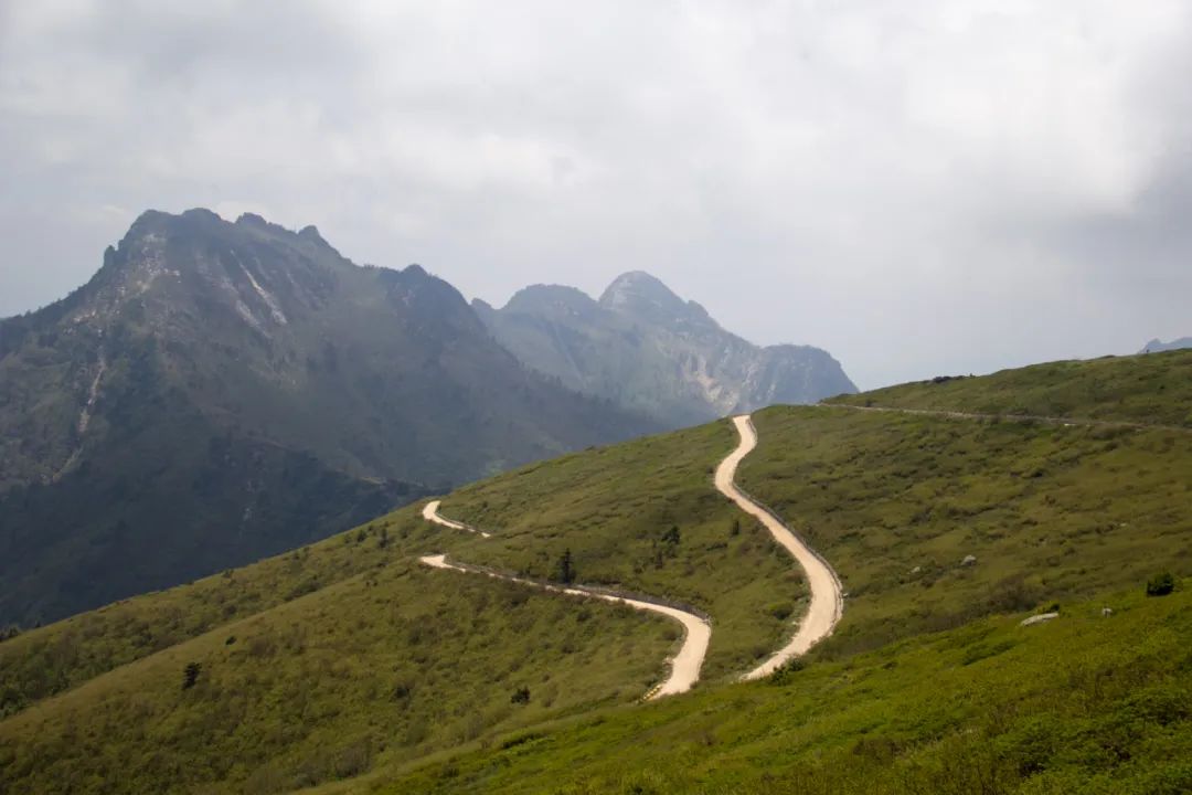 秦岭光头山至鹿角梁穿越路线,秦岭西观音山徒步登山路线攻略