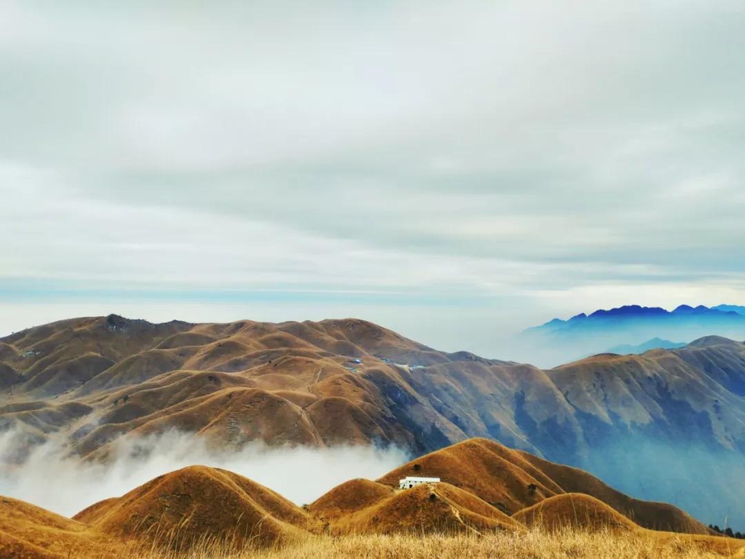 云旅游带你看遍天下美景,一起去旅行吧旅游