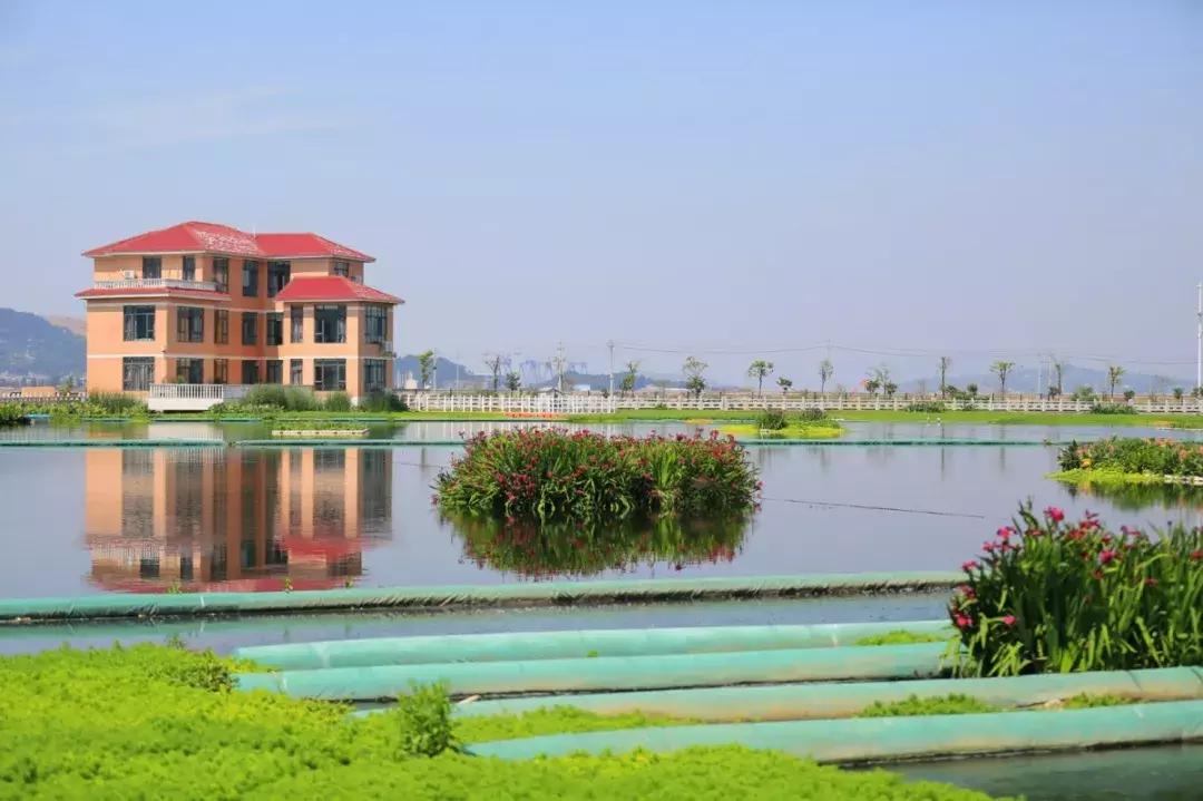 环保生态文明教育基地,生态文明环保宣传志愿服务活动