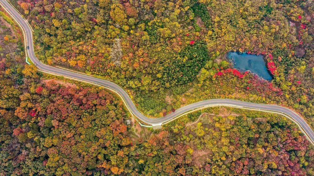 百图庆百年|“浦通”不普通！