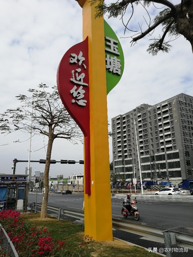 春节过后，带你看不一样的深圳玉塘