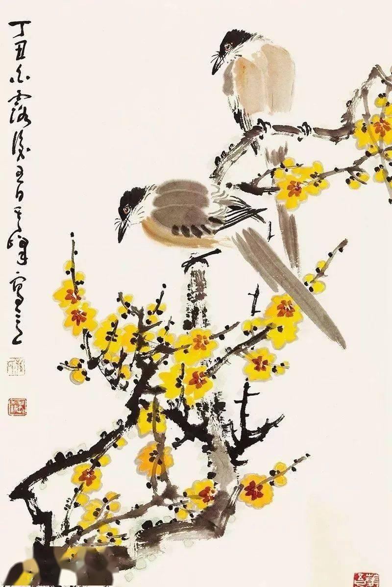 慢慢学花鸟｜这胖胖的哑嗓大黑鸟怎么成了“喜”鹊？