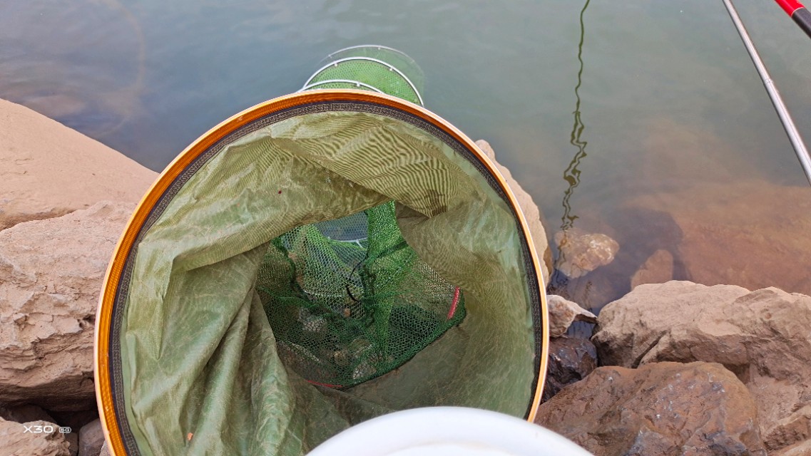 钓到大鱼不用抄网用什么钩上岸,钓鱼钓到后面没口了是怎么回事