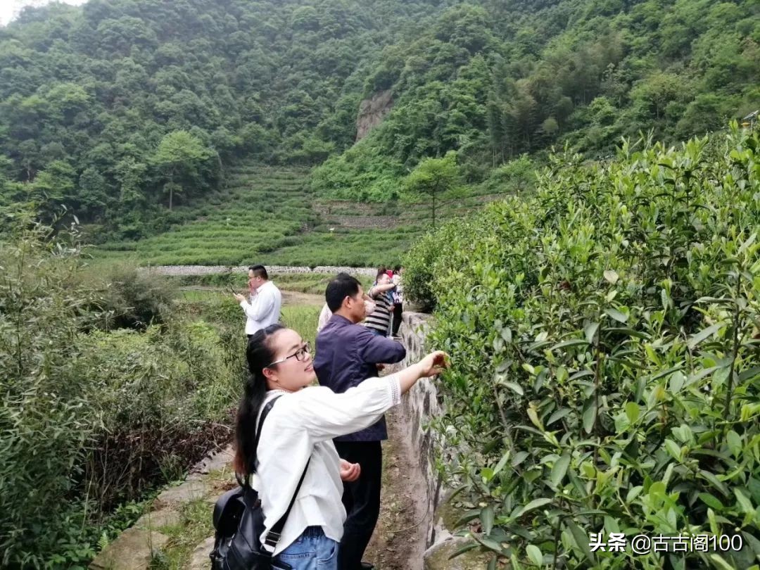 与兰亭对应的书法圣地,兰亭书法纪念馆