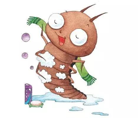 你原来是这样的萤火虫,估计老师们也很少知道!