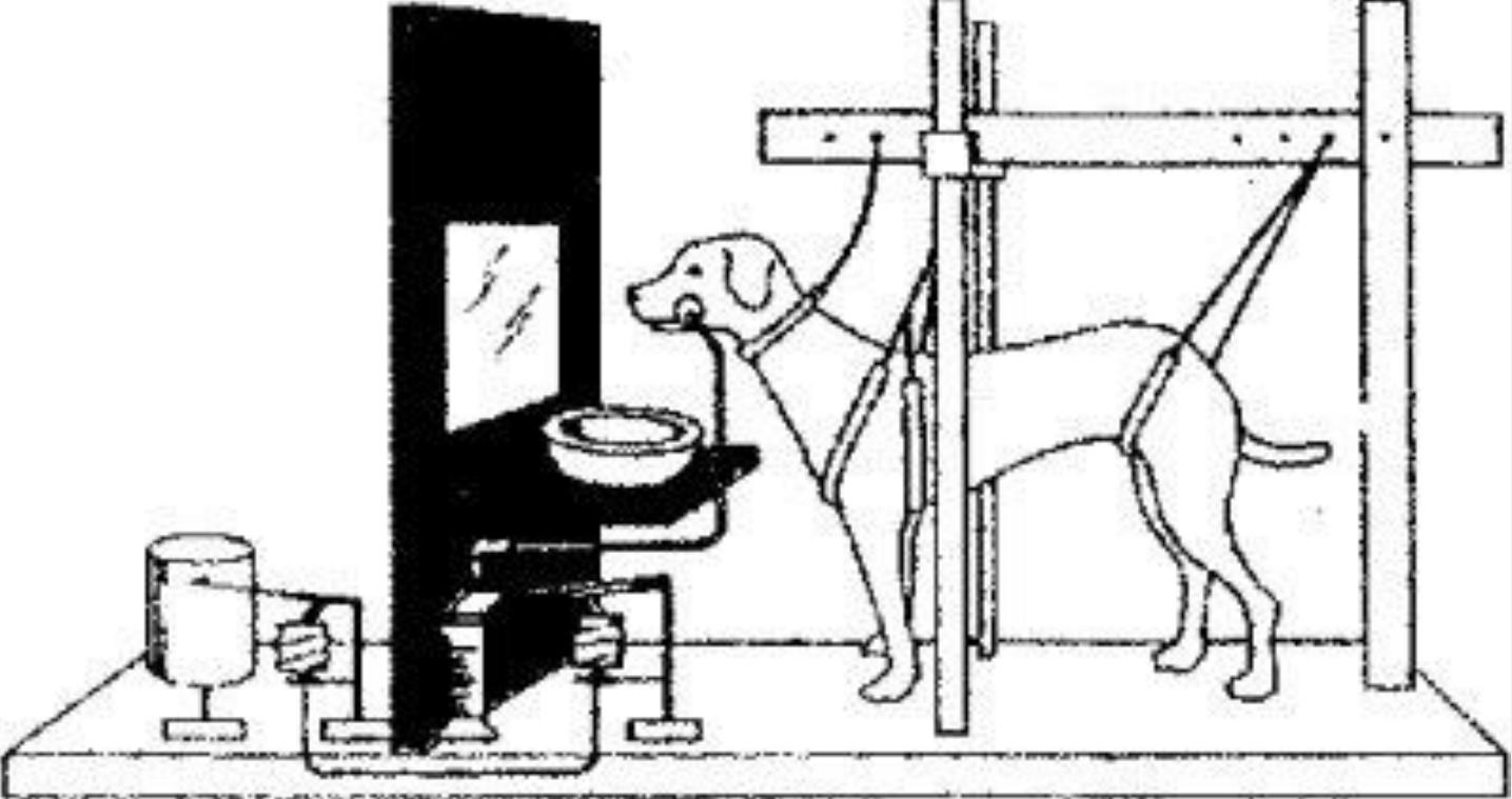 孩子不愿意社交交朋友怎么办,孩子不愿意交朋友心理障碍