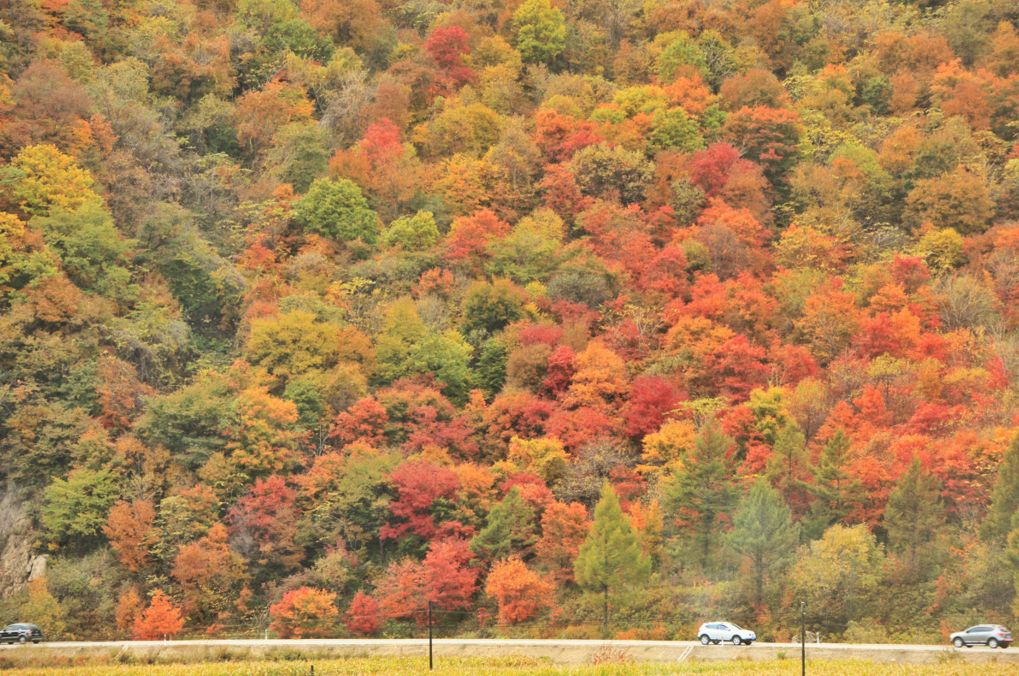 八九月，最值得去的神秘地方美丽风景。