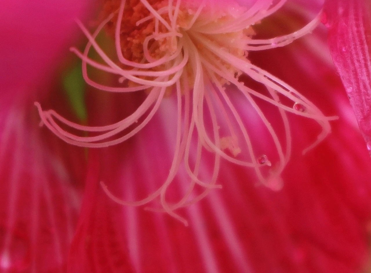 水样心情,水样情怀