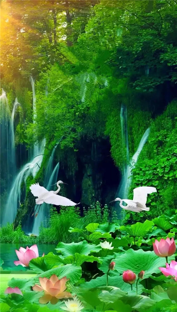 送你一张绝美壁纸,送你一张超美竖屏壁纸