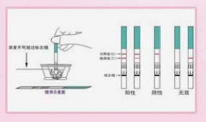 自己在家如何有效监测排卵?试试这些方法和技巧