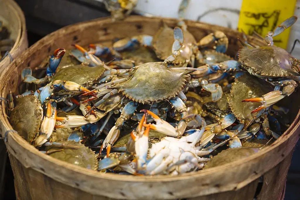 秋秋分享音乐,秋秋分享日常