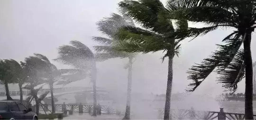 外地人眼中的海南是怎么样的,外地人眼里的海南人穷吗