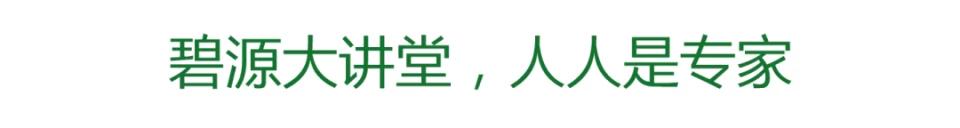 河南碧源控股集团有限公司,碧源控股是干什么的